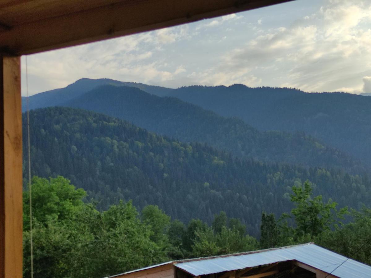 Ecohouse Svaneti เมสเตีย ภายนอก รูปภาพ