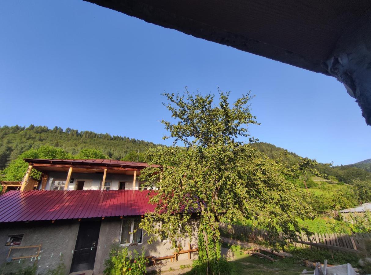 Ecohouse Svaneti เมสเตีย ภายนอก รูปภาพ