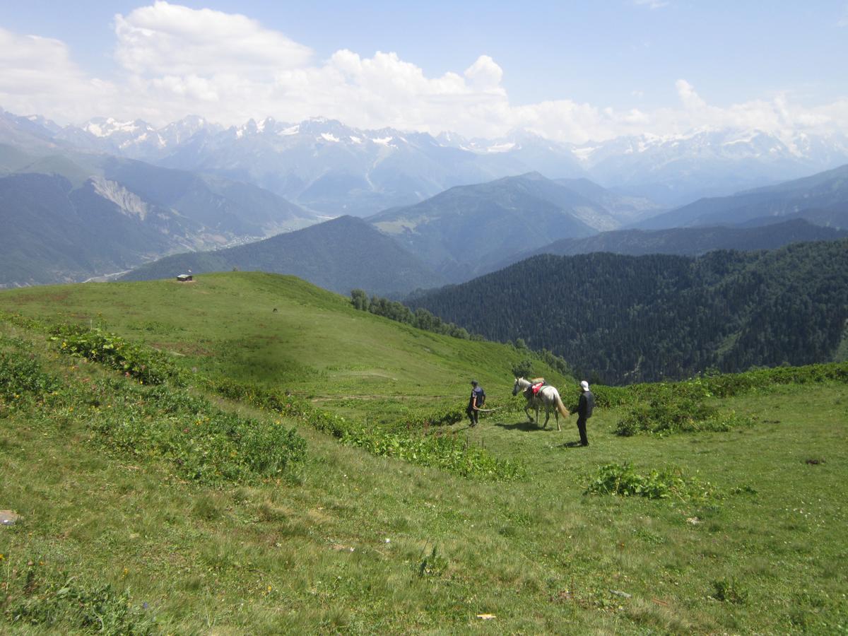 Ecohouse Svaneti เมสเตีย ภายนอก รูปภาพ