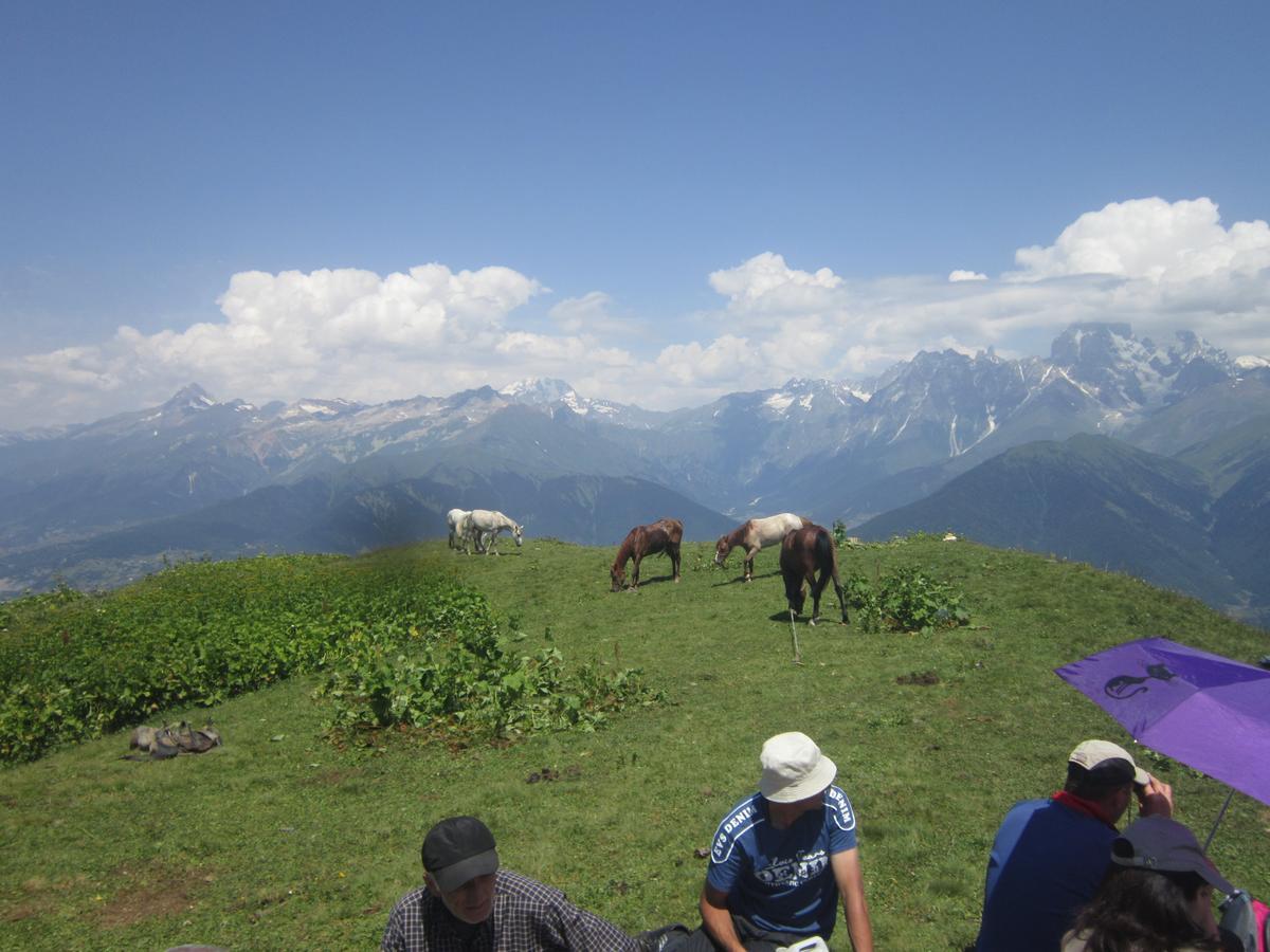 Ecohouse Svaneti เมสเตีย ภายนอก รูปภาพ