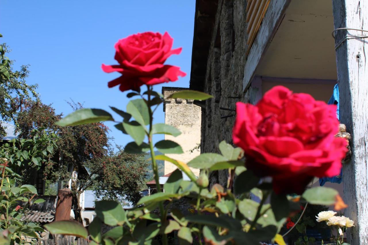 Ecohouse Svaneti เมสเตีย ภายนอก รูปภาพ