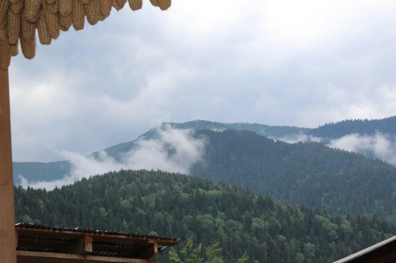 Ecohouse Svaneti เมสเตีย ภายนอก รูปภาพ